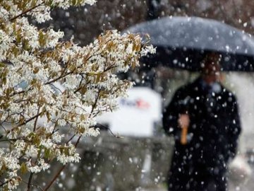 Погода в Луцьку та Волинській області на п'ятницю, 13 грудня
