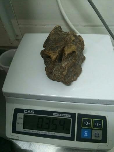 На Волині блокували спробу контрабанди бурштину. ФОТО