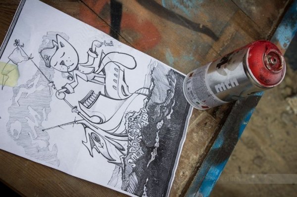 У самому центрі Луцька намалювали кота-пірата. ФОТО