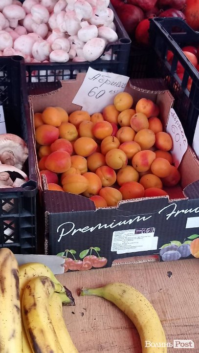 Від і до: скільки коштують перші абрикоси на луцькому ринку. ФОТО