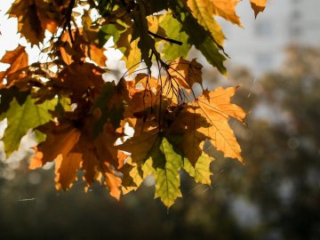 2 вересня – яке свято і що в цей день категорично не можна робити