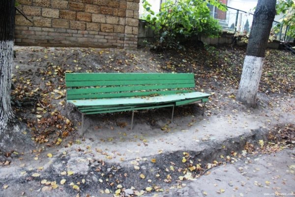 Мешканці багатоповерхівок у центрі Луцька скаржаться на розруху в дворі. ФОТО