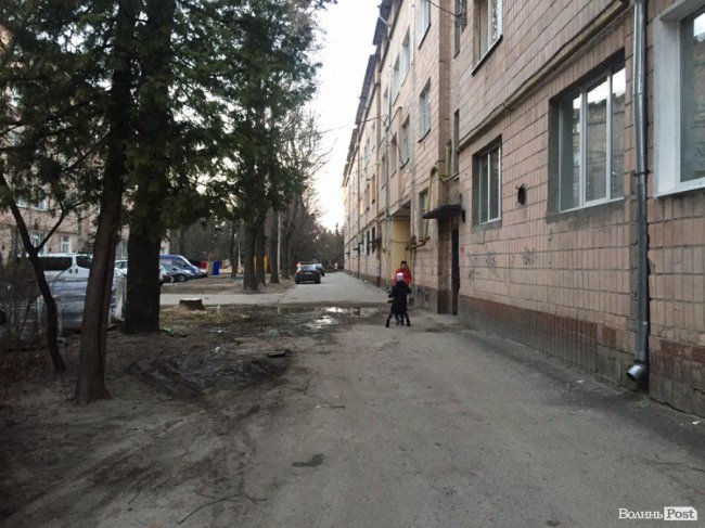 На Шопена у Луцьку зрубали здорові дерева: мешканці викликали на «допит» комунальників