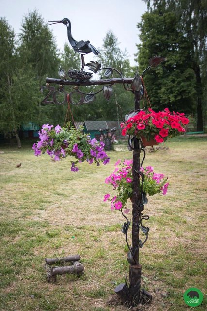 Квіти Луцького зоопарку: 37 дивовижних фото