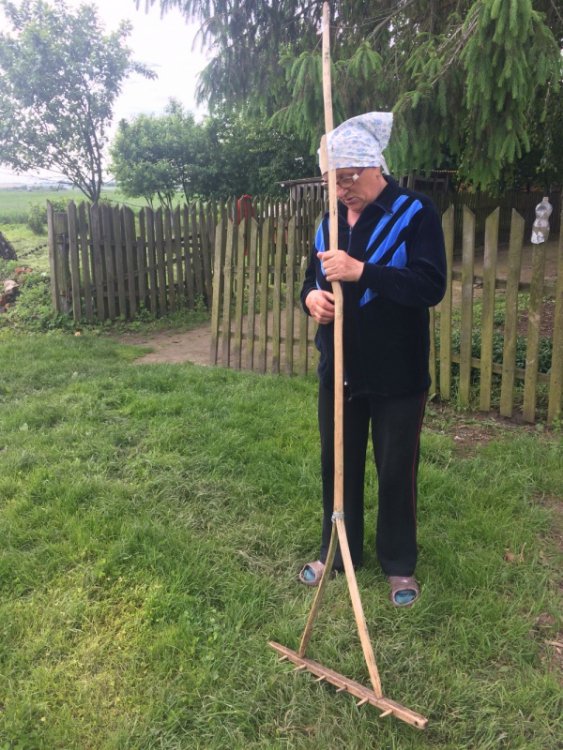 Колись людне село на Волині перетворилось на хутір, де проживає лише дві людини. ФОТО