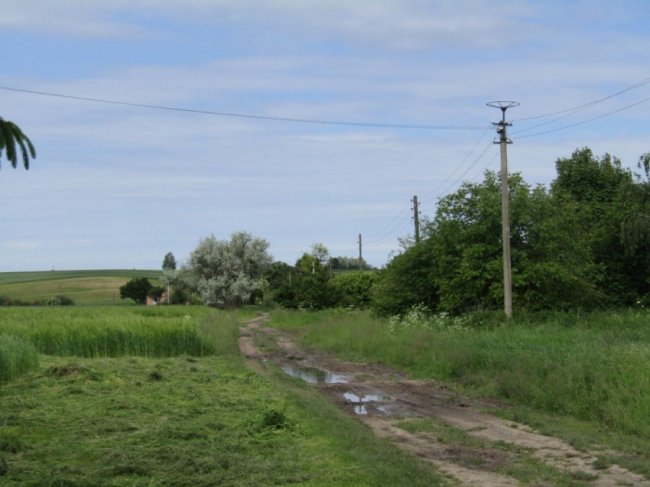 Колись людне село на Волині перетворилось на хутір, де проживає лише дві людини. ФОТО