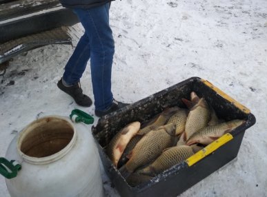 На луцькому ринку знайшли десятки кілограмів нелегальної риби. ФОТО