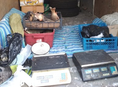 На луцькому ринку знайшли десятки кілограмів нелегальної риби. ФОТО