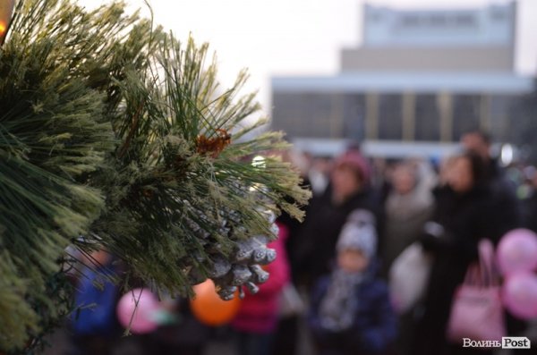У Луцьку засвітили головні ялинки міста. ФОТО 