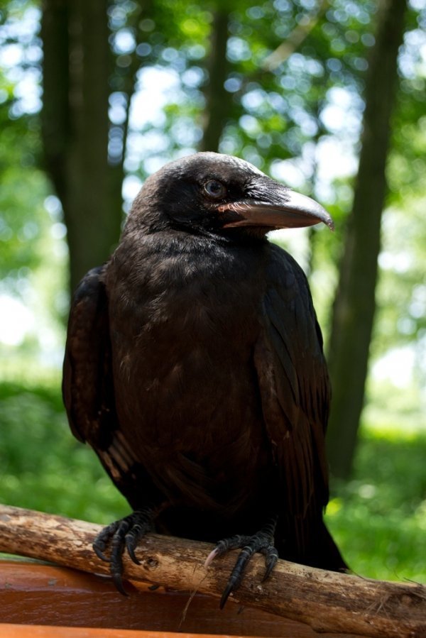 Фотовиставка Валентини Жуги