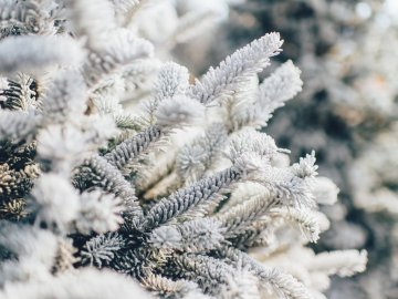 Синоптик розповіла, якою буде зима в Україні