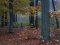 На Харківщині в лісі знайшли тіло 15-річної дівчинки