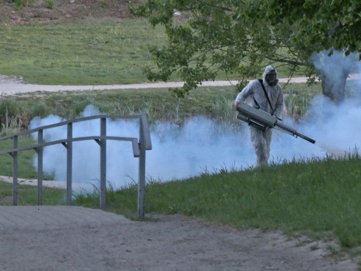 На Волі в Луцьку оброблятимуть кущі й дерева: просять уникати перебування в зоні робіт