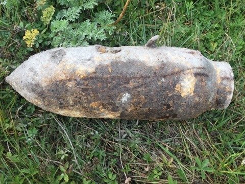 Волинські рятувальники знешкодили декілька боєприпасів часів війни. ФОТО