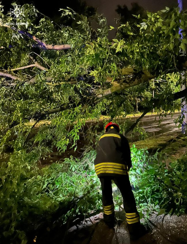 У Луцьку блискавка влучила у дерев'яний будинок