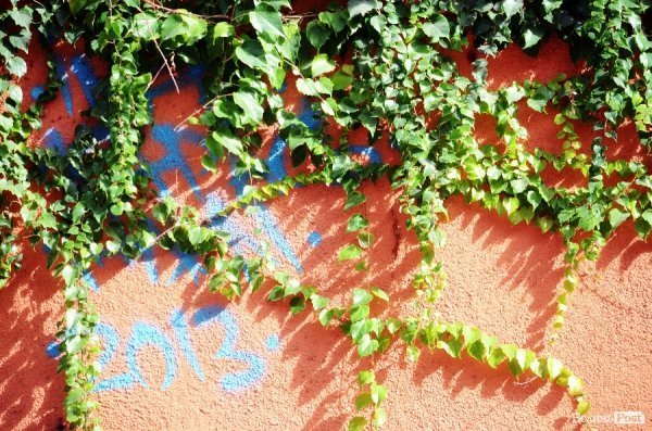 Фотопогляд: вулиця Лесі Українки