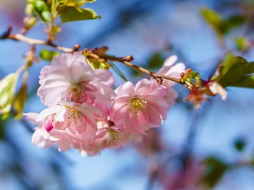 Погода в Луцьку та Волинській області на середу, 21 квітня