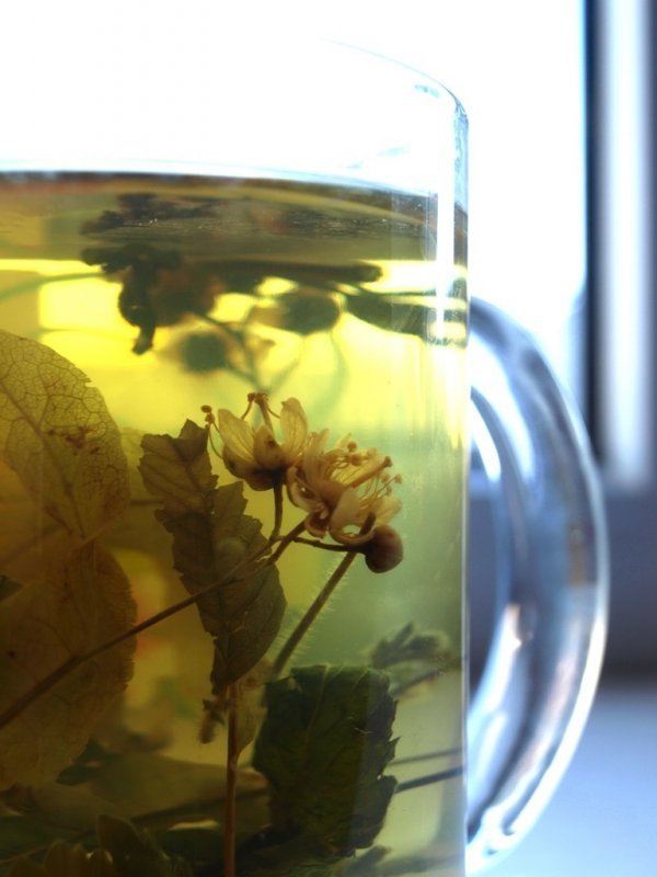 Фотовиставка Тетяни Полуектової