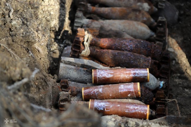 Через 80 років знайшли схрон з німецькою зброєю: на Волині знищили понад 160 боєприпасів 