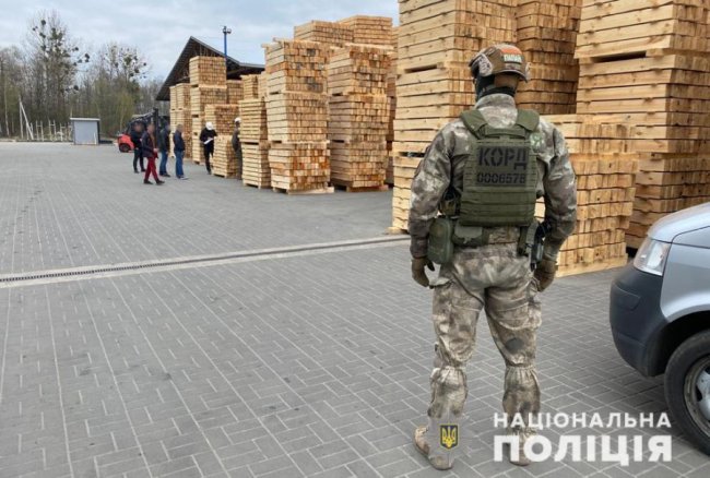 Незаконні рубки лісу та підроблення документів: службовій особі підприємства на Волині оголосили підозру 