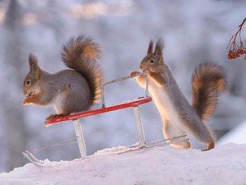 Погода у Луцьку та Волинській області на завтра, 26 грудня