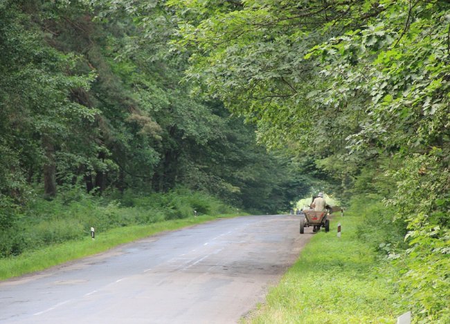 Мальовнича та неповторна природа волинського села. ФОТО