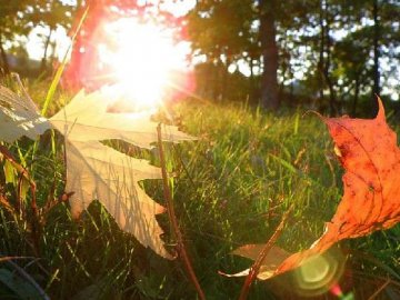 Погода в Луцьку та Волинській області на вівторок, 29 вересня