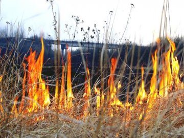 Волинянка заплатить три тисячі за спалювання трави