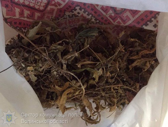 Вибухівка та «трава»: «улов» поліції у селі під Луцьком 