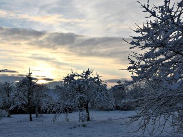 Калинові кетяги і заметені дерева: чудові фото снігопаду на Волині