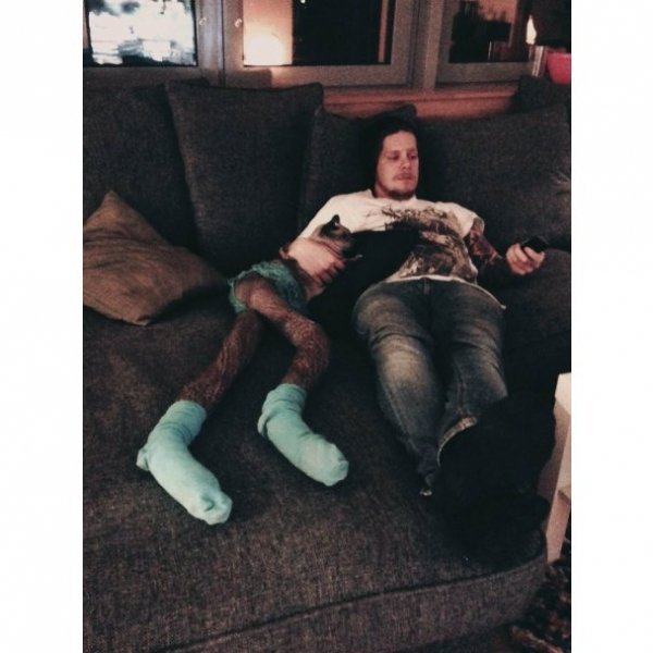 Нове інтернет-захоплення: фотографують котів у колготках. ФОТО