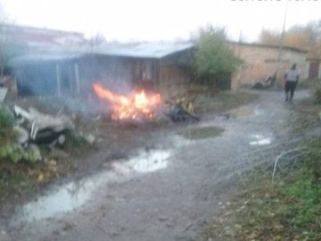 У Луцьку покарали палія листя