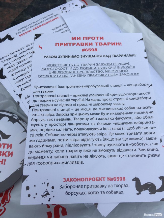 У центрі Луцька влаштували акцію проти «концтаборів для тварин». ФОТО
