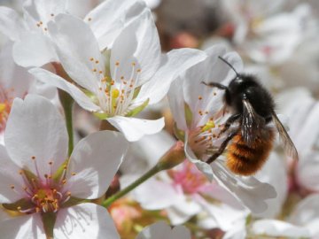 Погода в Луцьку та Волинській області на п'ятницю, 30 квітня