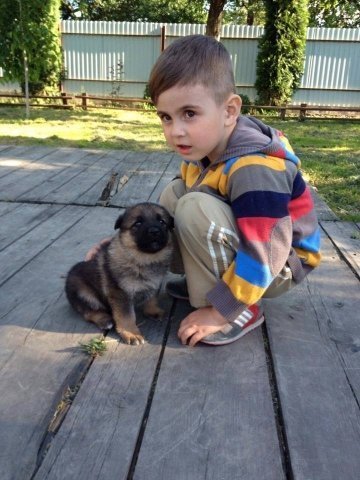 Фото «котячо-собачого» хіт-параду від Луцького зоопарку (част. 3)