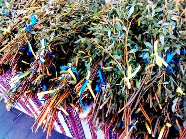 У Луцьку втретє відбудеться акція «Вербу купляю - перемогу наближаю»