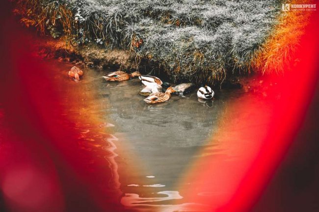 Атмосферні фото осені у луцькому «Сіті Парку»