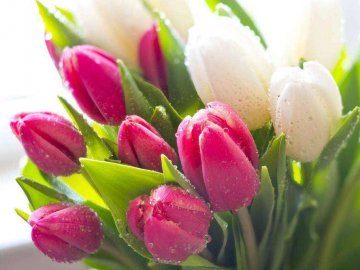 Якою буде погода на Волині 8-го березня 