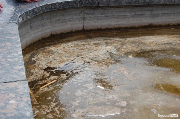 У кутках фонтану усе затягнуте чимось на кшталт ряски