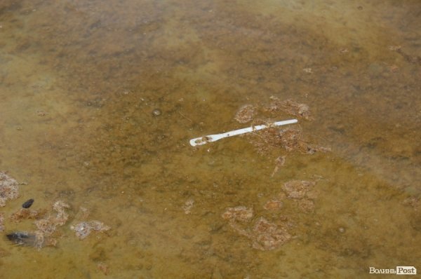 У «Луцькводоканалі» кажуть, що чистять фонтани, «на скільки це реально». ФОТО