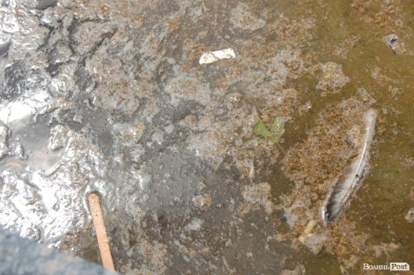 У «Луцькводоканалі» кажуть, що чистять фонтани, «на скільки це реально». ФОТО