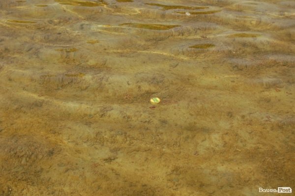 Дно - замулене