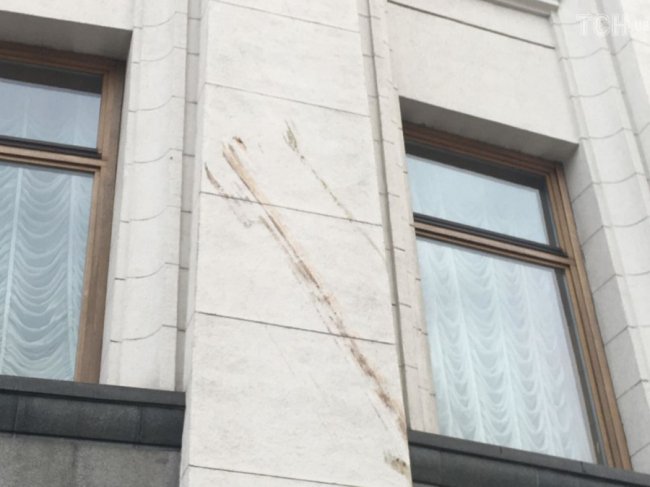 На Верховну Раду впало дерево. ФОТО