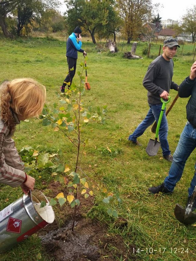 Ковель: в честь захисників України висадили парк