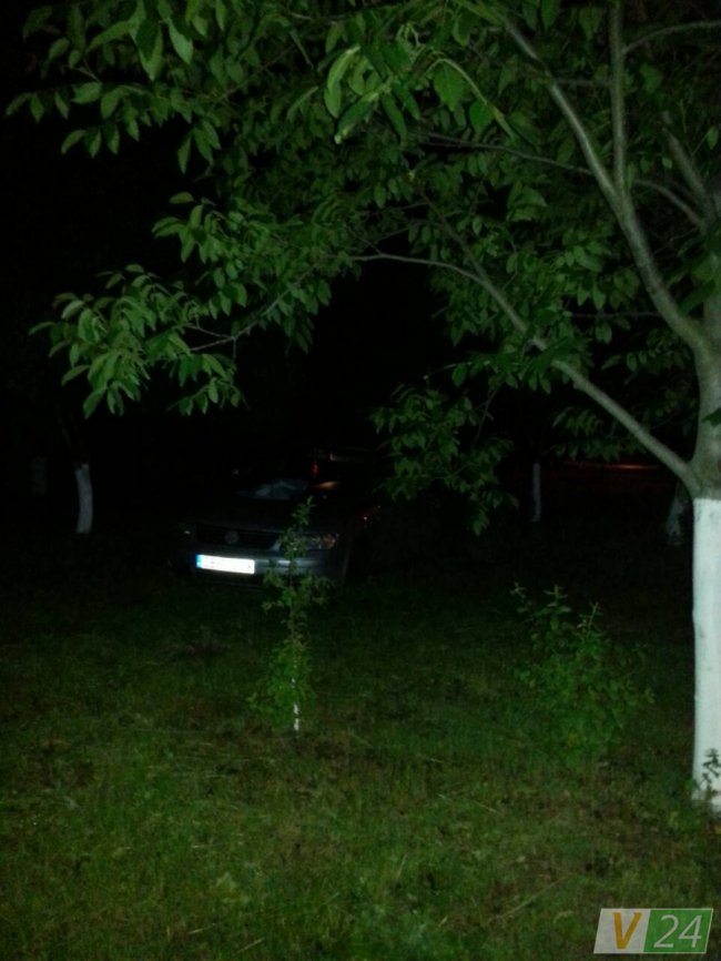 Нічна аварія в Луцьку: Volkswagen потрощив дерево. ФОТО