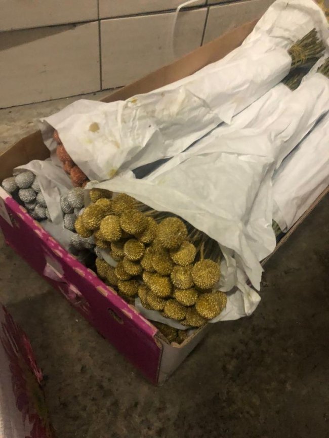 На волинській митниці затримали вантажівку з 6 тоннами квітів та декоративних рослин. ФОТО