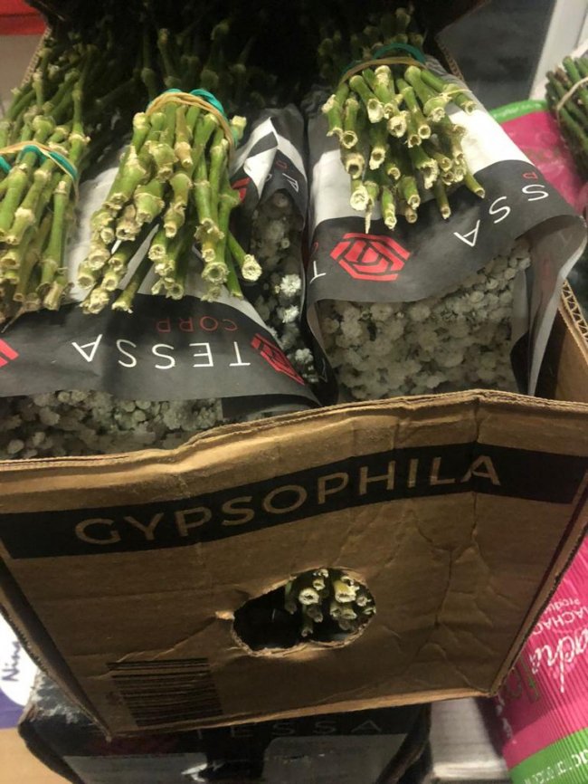 На волинській митниці затримали вантажівку з 6 тоннами квітів та декоративних рослин. ФОТО