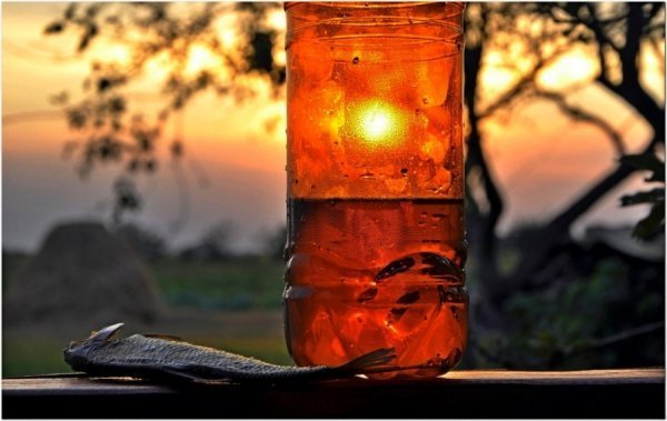 Фотовиставка Павла Березюка