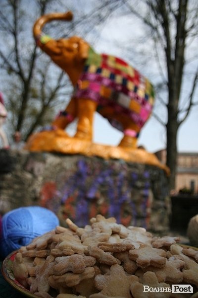 Луцького слоника одягли в’язаними клаптиками. ФОТО