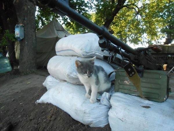 Зворушливі фото з передової: фронтові улюбленці солдатів. ФОТО